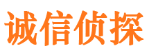 金秀市私家侦探